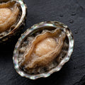 Abalone 500g