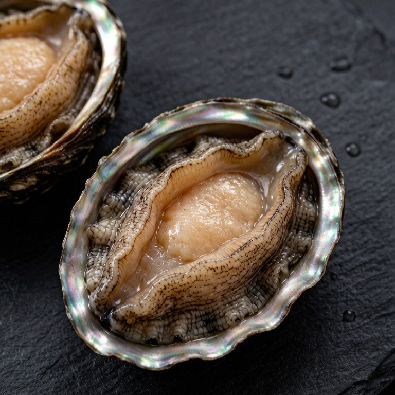 Abalone 500g
